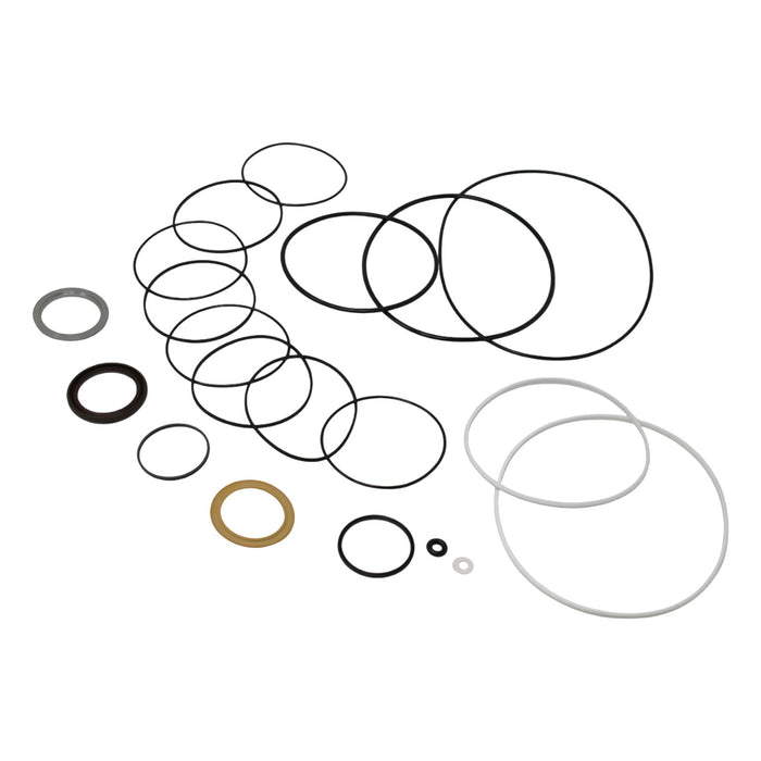 Seal Kit for White Hydraulics 310400B7623AAAGBP Motor