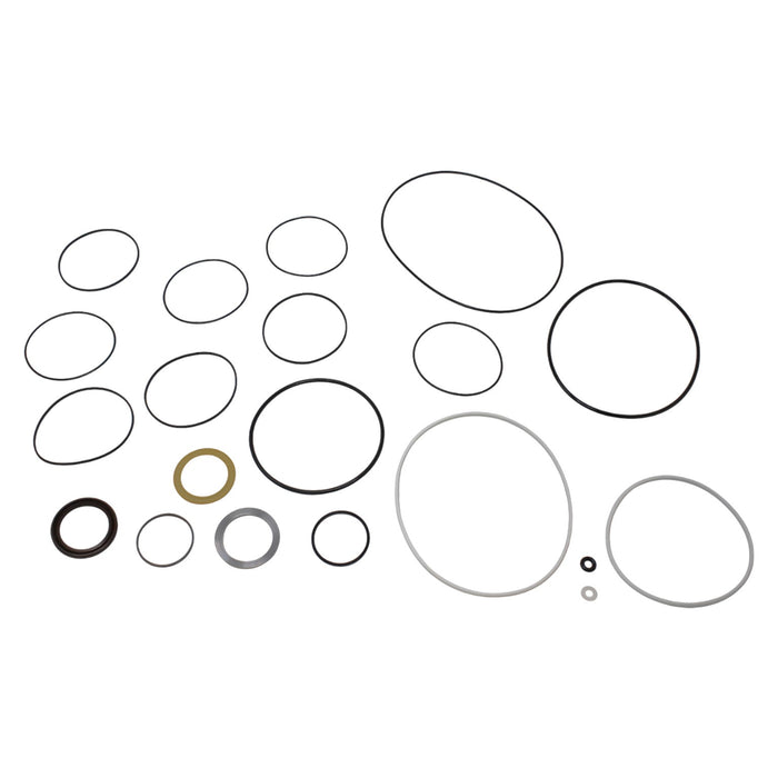 Seal Kit for White Hydraulics 310400B7623AAAGBP Motor