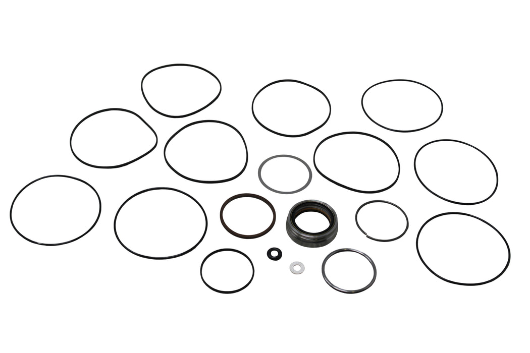 White Hydraulics 300333900 - Kit - Seal Kit - Motor