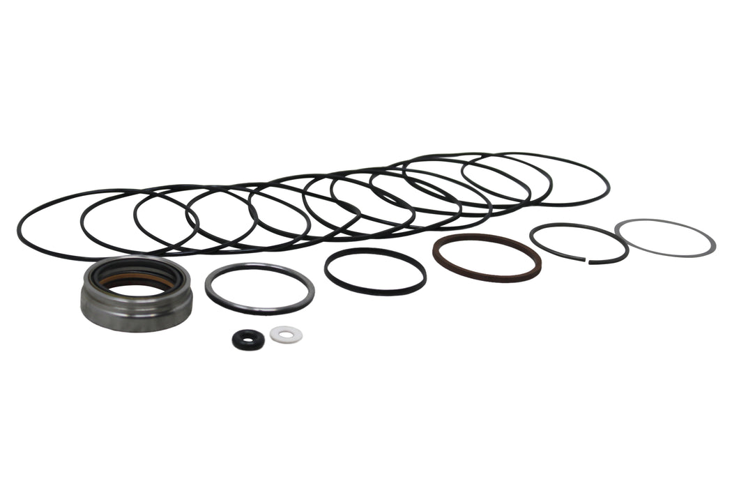 White Hydraulics 300333900 - Kit - Seal Kit - Motor