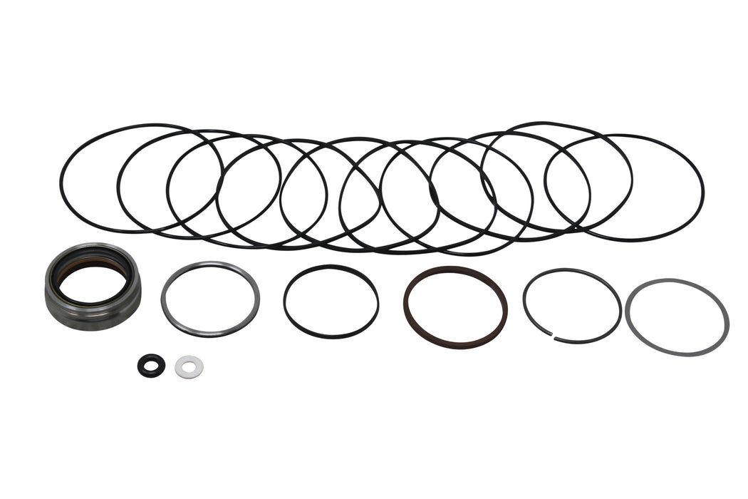 Seal Kit for White Hydraulics HB0657537DXC - Hydraulic Motor