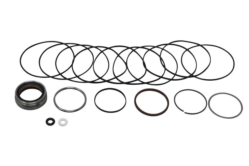 Seal Kit for White (Danfoss) 300090A9821AAAGM  - Hydraulic Motor