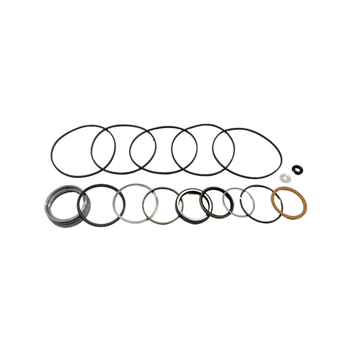 Seal Kit for White (Danfoss) 300300F8110ZAAABS - Hydraulic Motor