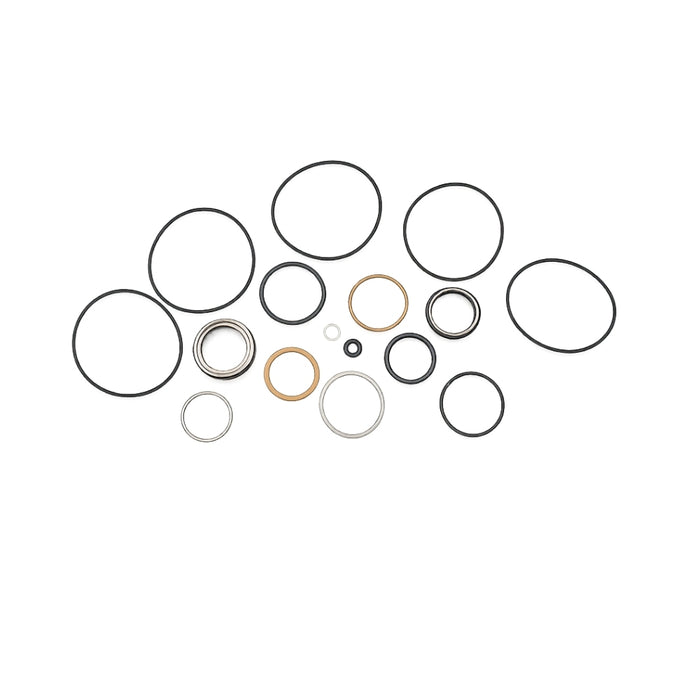 Seal Kit for White (Danfoss) 300300F8110ZAAABS - Hydraulic Motor