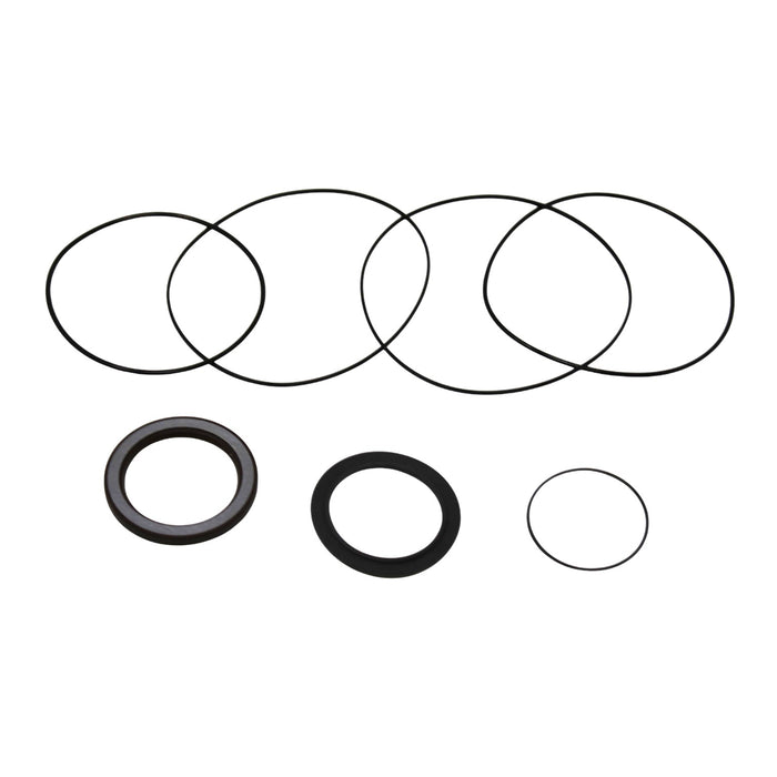 Seal Kit for White (Danfoss) 430540W3120BEAAAS  - Hydraulic Motor