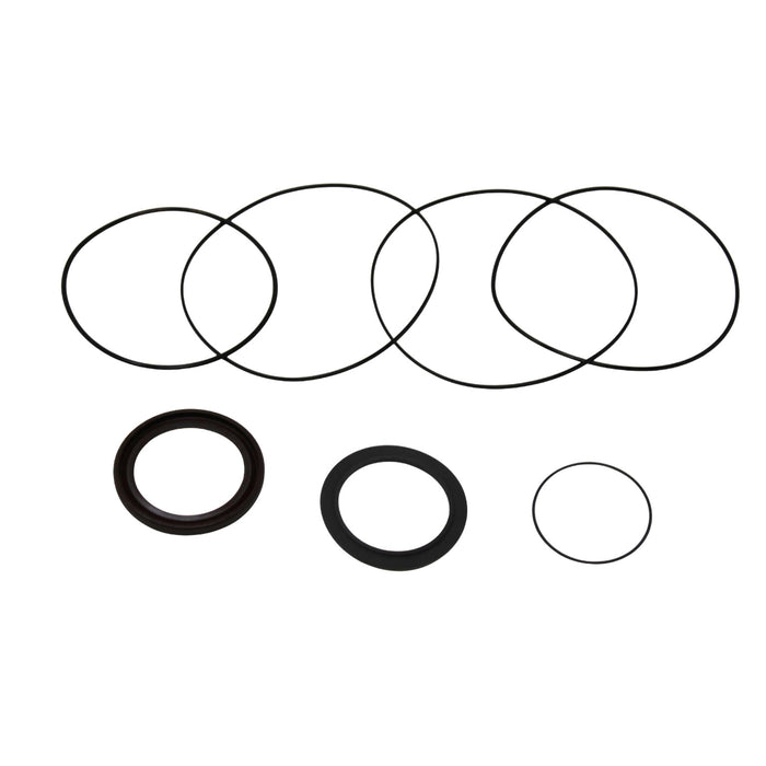 Seal Kit for White (Danfoss) 430540W3120BEAAAS  - Hydraulic Motor