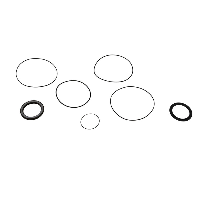Seal Kit for White (Danfoss) 430540W3120BEAAAS  - Hydraulic Motor