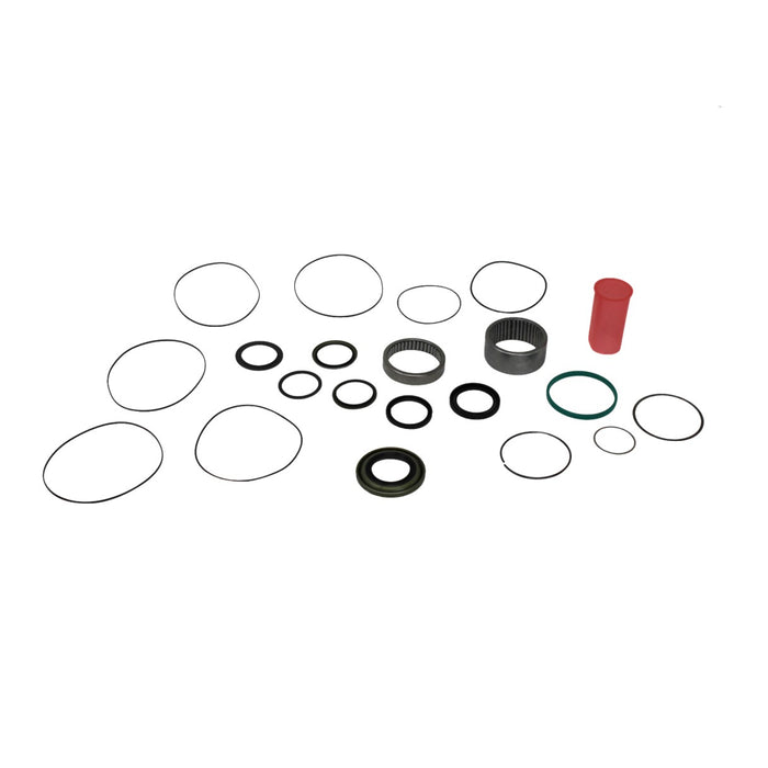 Seal Kit for White (Danfoss) 500750A3112AAAAA Motor