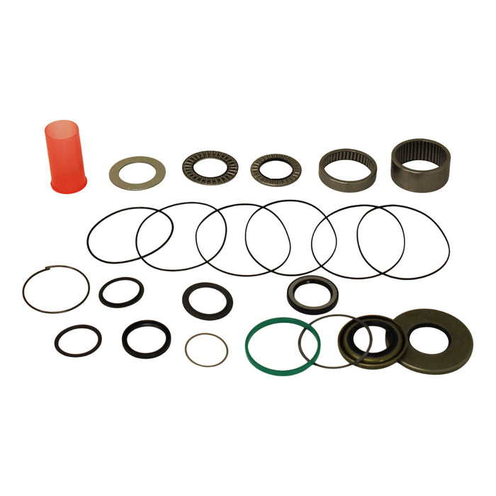 White (Danfoss) 500444222B - Seal Kit for Hydraulic Motor (Bearings Included)