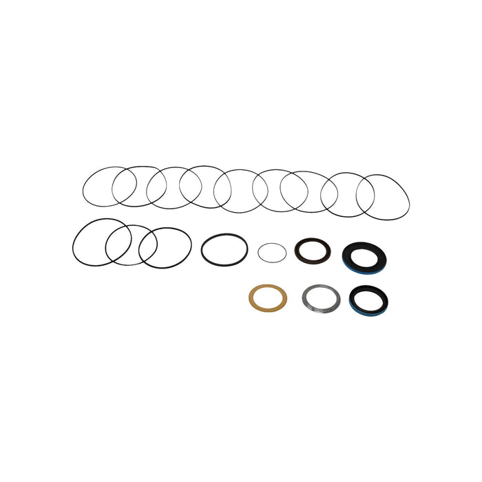 Seal Kit for White (Danfoss) 530230W3131BAAAAP  - Hydraulic Motor