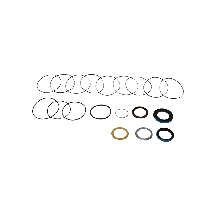 White (Danfoss) PT666000 - Seal Kit for Hydraulic Motor
