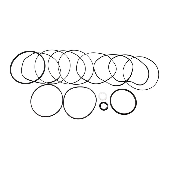 White Hydraulics 700666300 - Seal Kit for DT40 (740) Series Hydraulic Motors