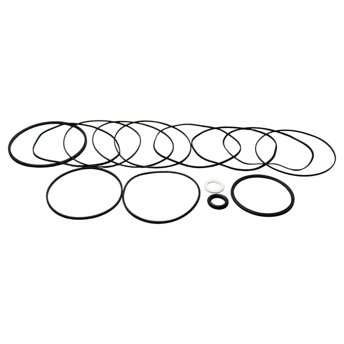 White Hydraulics 700666300 - Seal Kit for DT40 (740) Series Hydraulic Motors