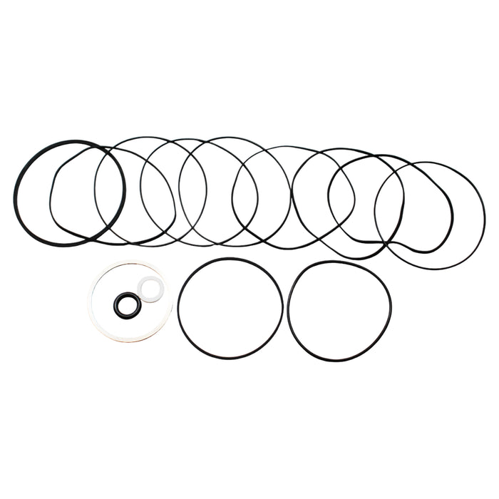 White Hydraulics 700666300 - Seal Kit for DT40 (740) Series Hydraulic Motors