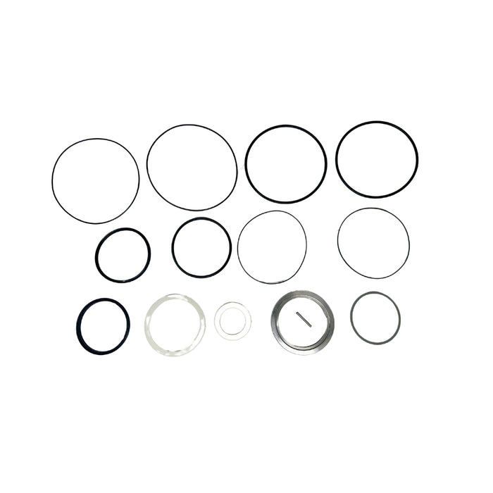 Seal Kit for White (Danfoss) 11249125  - Hydraulic Motor