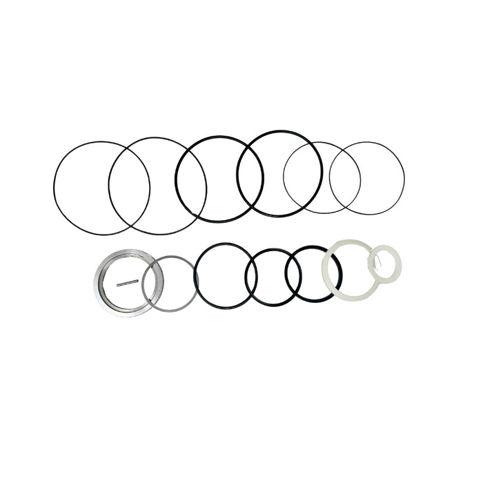 Seal Kit for White (Danfoss) 11249125  - Hydraulic Motor