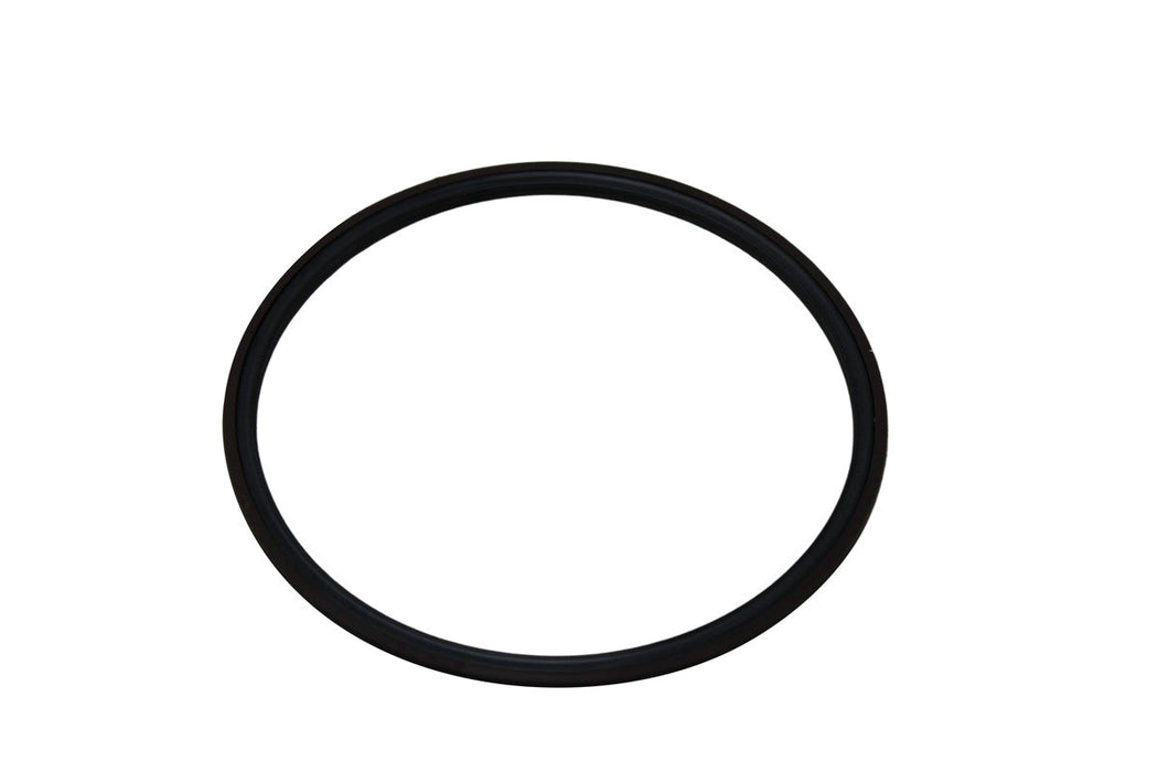 Yale 580011974 - Seal - Piston Seal Assembly