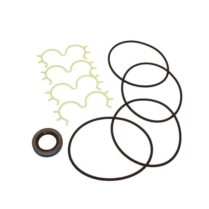 Seal Kit for Case D134590 - Hydraulic Pump