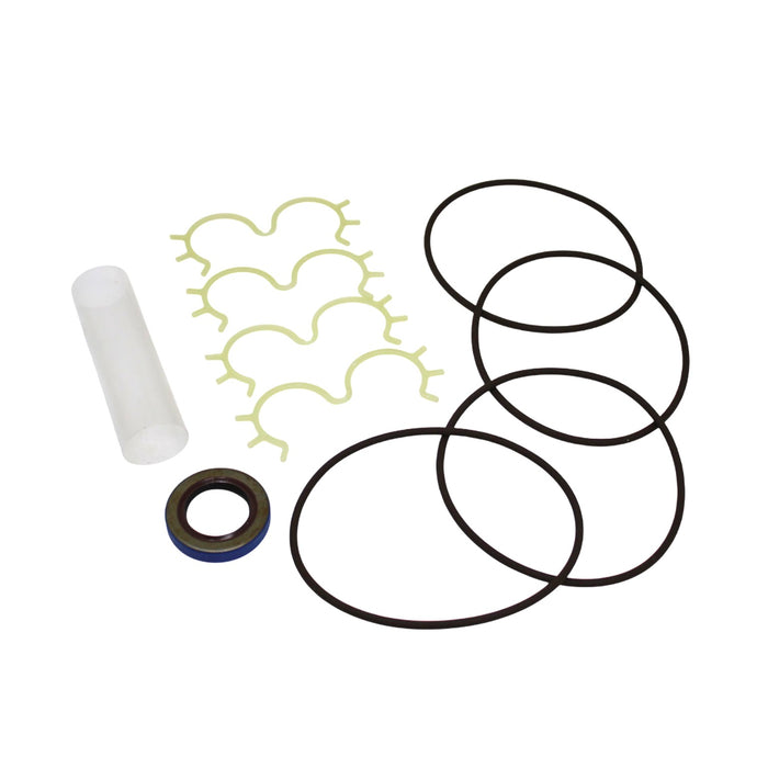 Seal Kit for Case D134590 - Hydraulic Pump