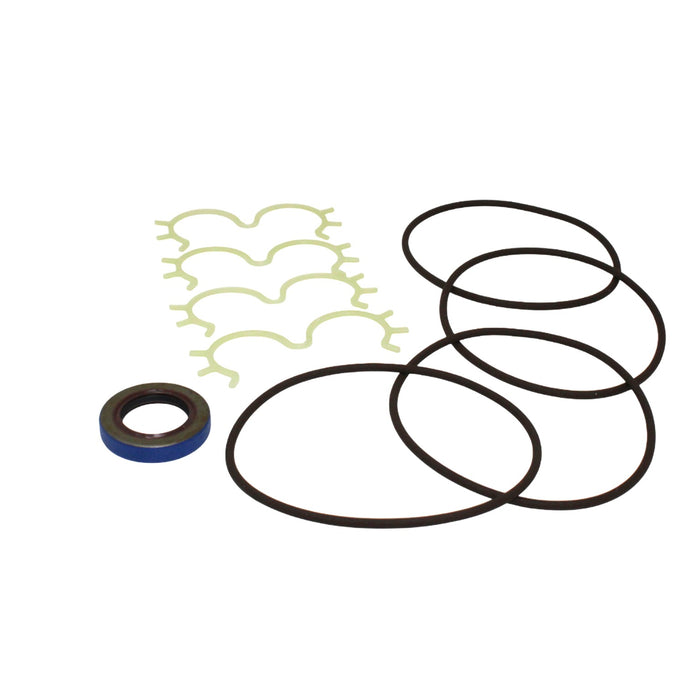 Seal Kit for Case D134590 - Hydraulic Pump