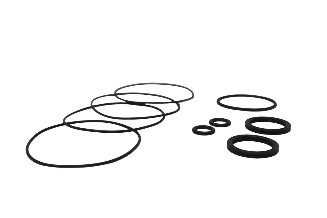 Allis Chalmers 4907523 - Seal Kit for Hydraulic Motor